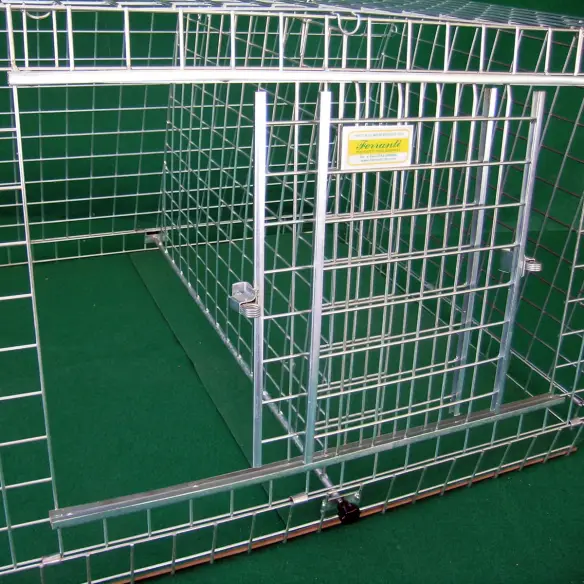 Dog transport box with double opening