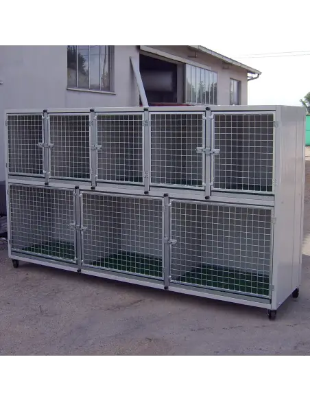 Vet Cage for Dogs, Cats & Small Pets: Durable & Hygienic | Ferranti