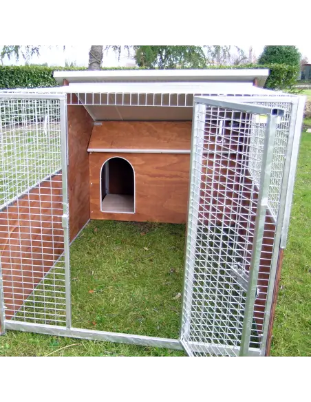 Day area of small and medium dog kennel