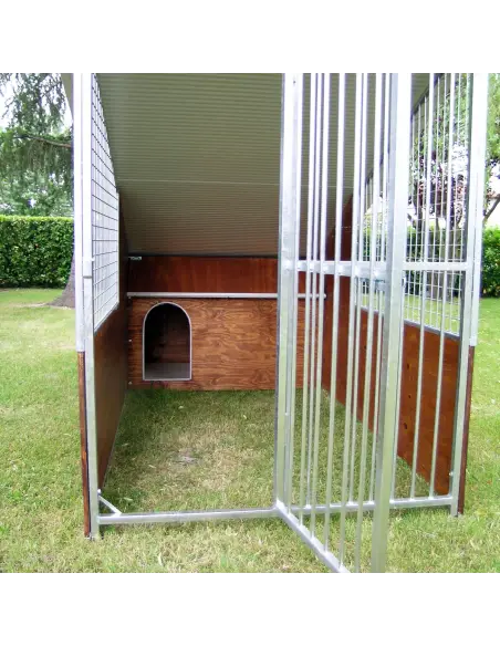 Day area of Labrador dog kennel