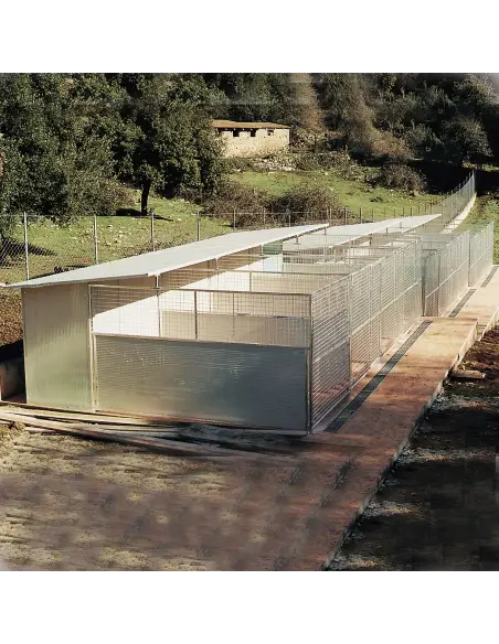 Series of Modular dog kennels installed in line