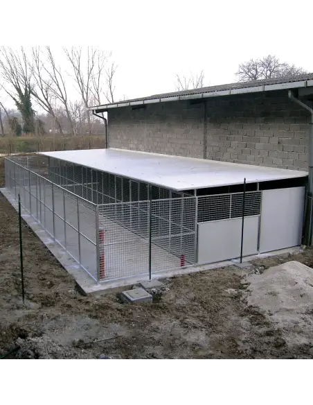Series of Modular dog kennels installed in line