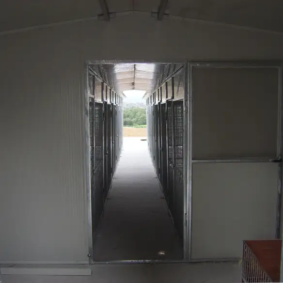 Series of Modular dog kennels installed in line