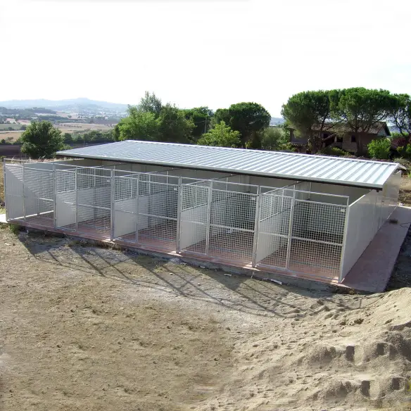 Serie di box per cani mod. Modular montati in linea