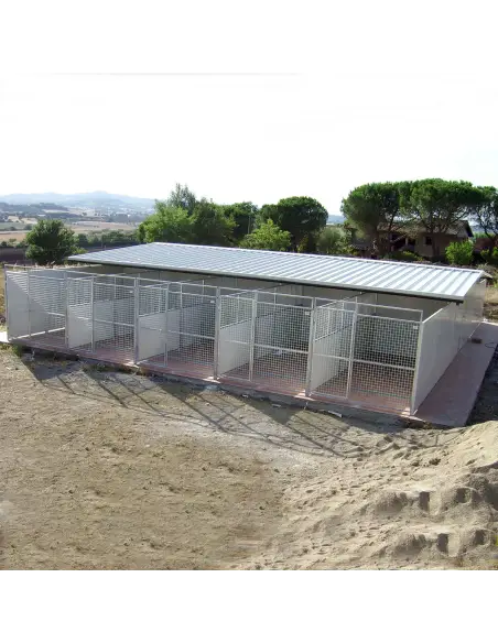 Series of Modular dog kennels installed in line