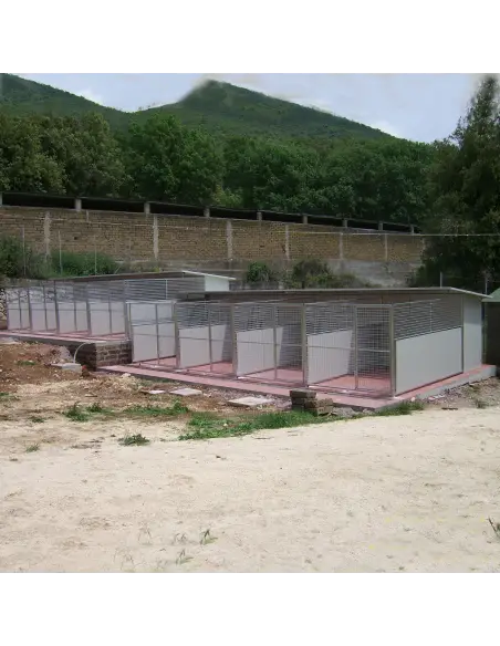 Series of Modular dog kennels installed in line