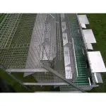 Rabbit Cage with 3 Breeding Does and 12 Fattening Compartments