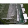Rabbit Cage with 3 Breeding Does and 12 Fattening Compartments