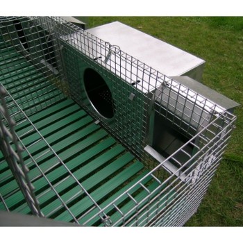 Nest and feeder on Rabbit Hutch for 3 Breed + 12 Fatten