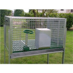 Rabbit Hutch 1 rabbit