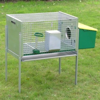 Rabbit Hutch for Male with nest