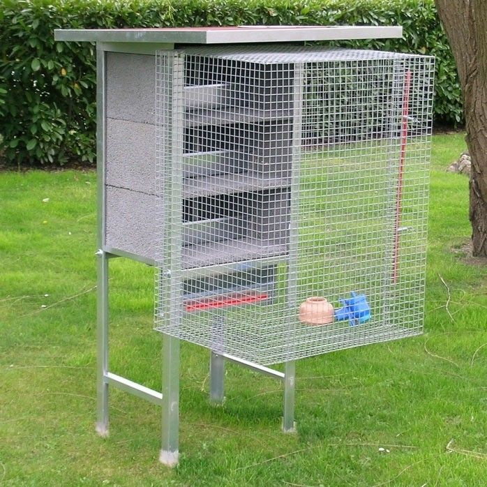 Aviary for Pigeons 3 pair