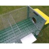 Indoor rabbit cages for two rabbits mares
