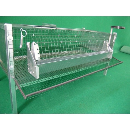 Cage for laying quail