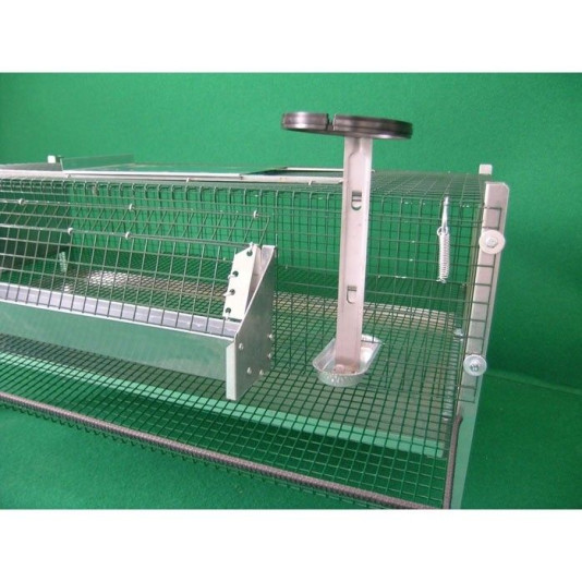 abbeveratoio gabbia per quaglie ovaiole