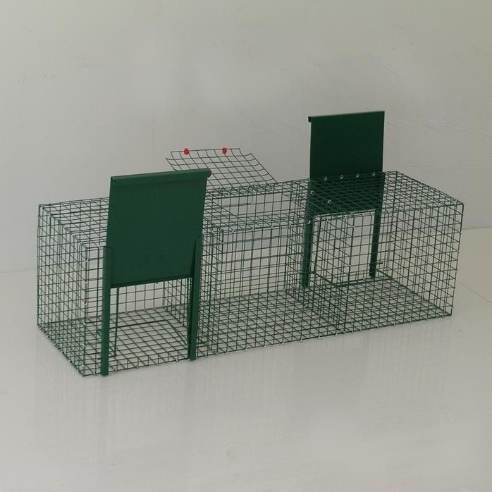Larsen trap with 2 entries for magpies crows corvids