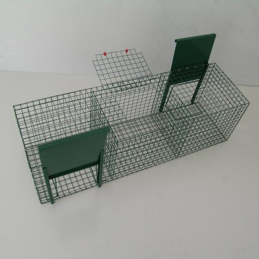 Larsen Trap for magpies, ravens, crows, 2 entrances | Ferranti