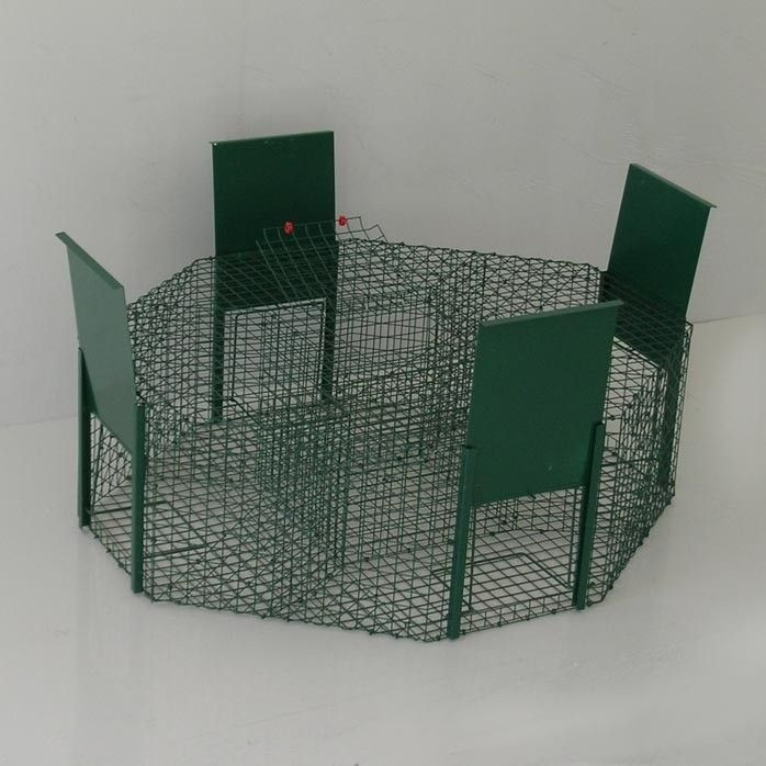 Larsen Trap for magpies, ravens, crows, 4 entrances