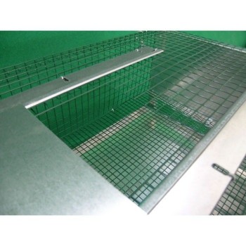 Cage for fattening quail