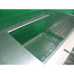 Quail Cage Breeding