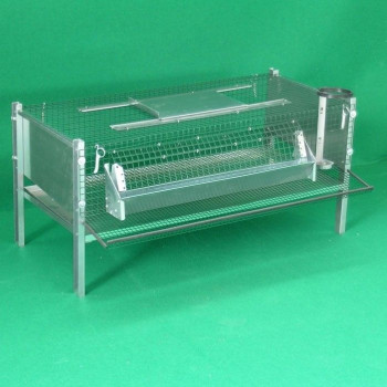 Laying quail cage