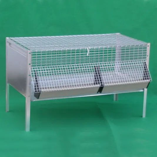 Chicken Cage for Hens and Chicks Chicken Cage for Hens and Chicks