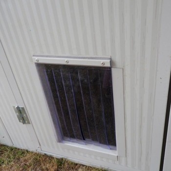 Cat outdoor enclosure with insulated panels