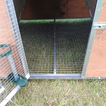 Pollaio coibentato per galline o polli