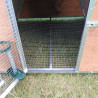 Pollaio coibentato per galline o polli