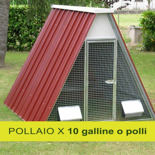Pollaio per 10 galline o polli
