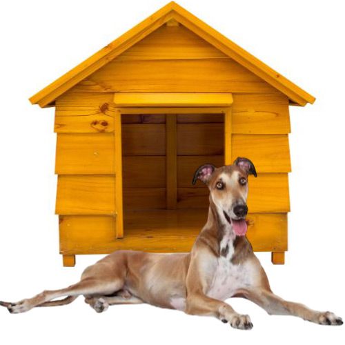 scopri le Cucce da esterno per levrieri: tutte le caratteristiche