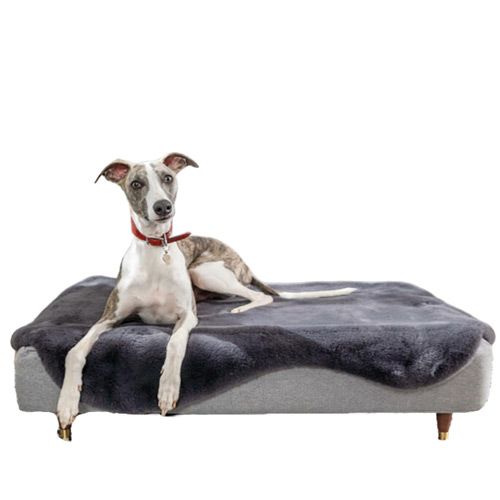 scopri le Cucce da interno per levrieri