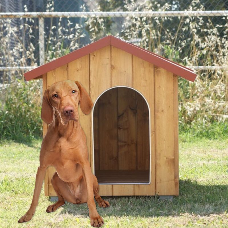 Scopri le cucce da esterno per il braco italiano