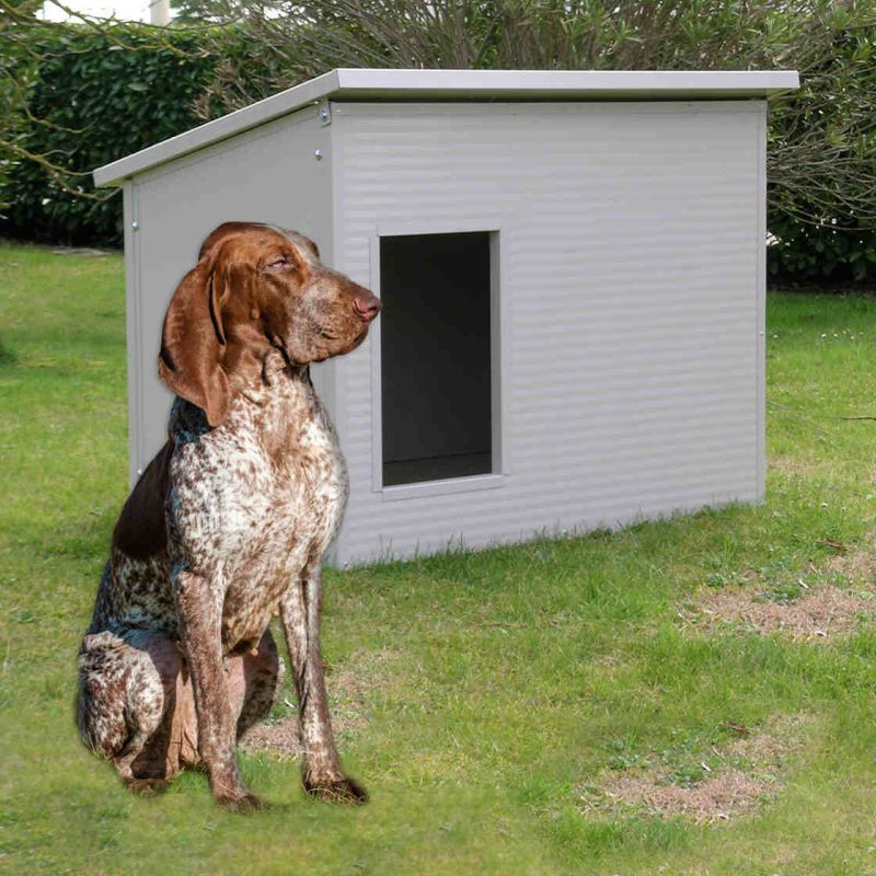 Scopri le cucce da esterno per il braco italiano