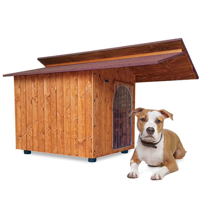 scopri la migliore le Cuccia da esterno per l’amstaff