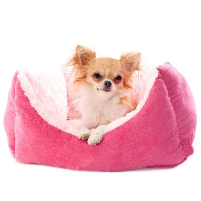 Scopri la cuccia da interno per chihuahua