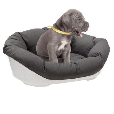 Cuccia per cane alano da interno