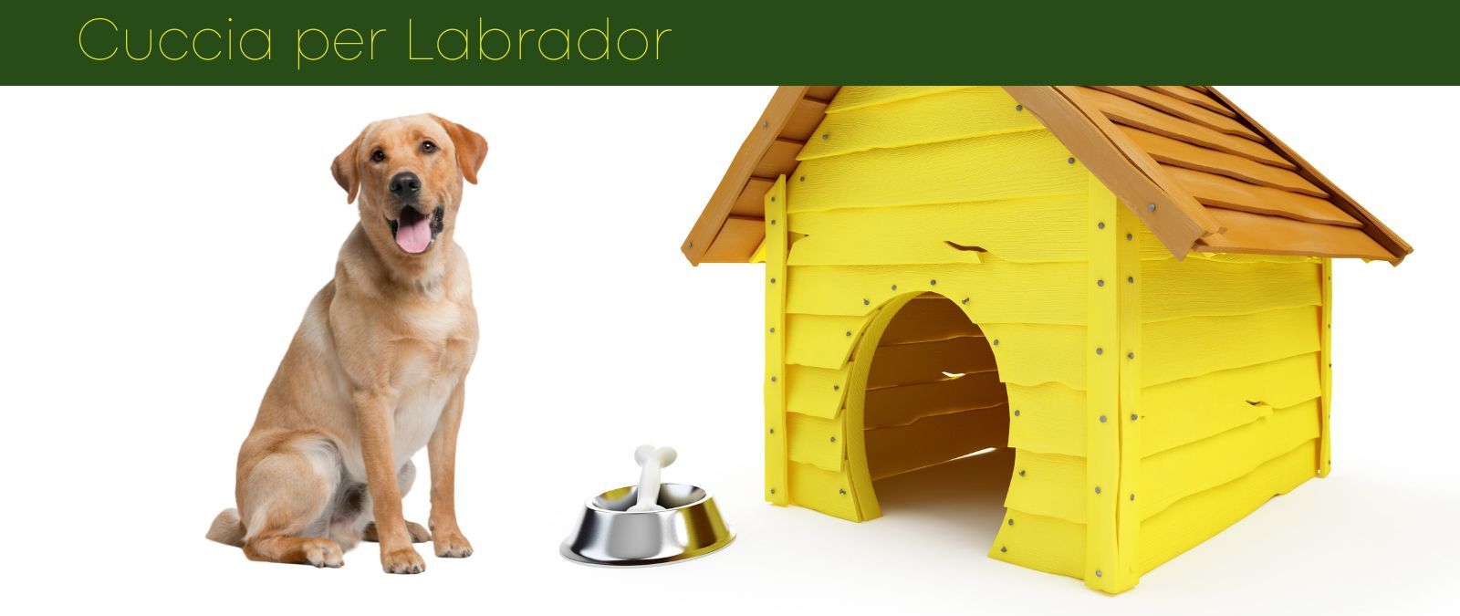 Scopri la cuccia per labrador