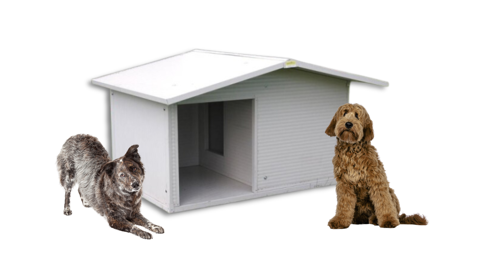 Ferranti propone cucce per cani di tutte le taglie