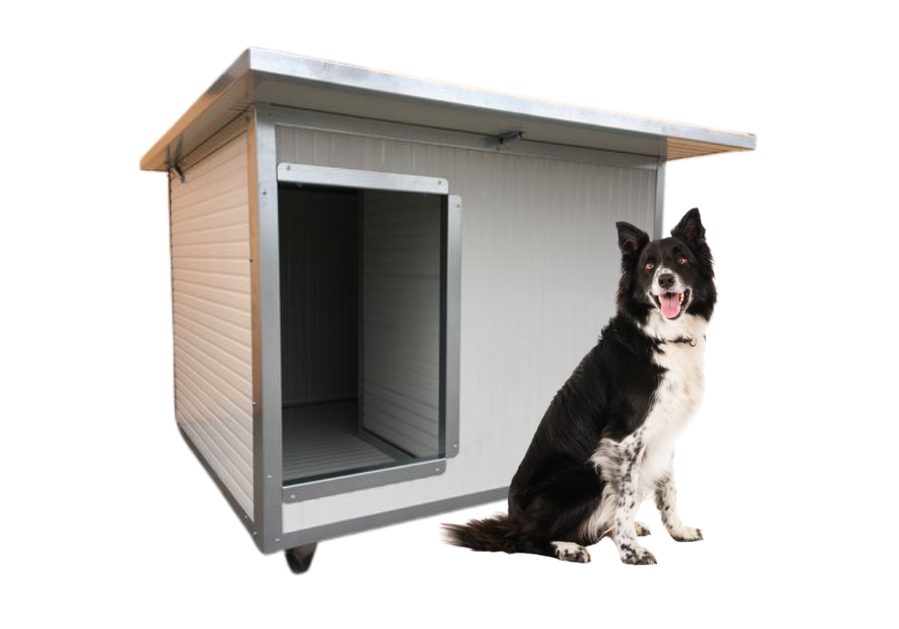 cuccia coibendata border collie