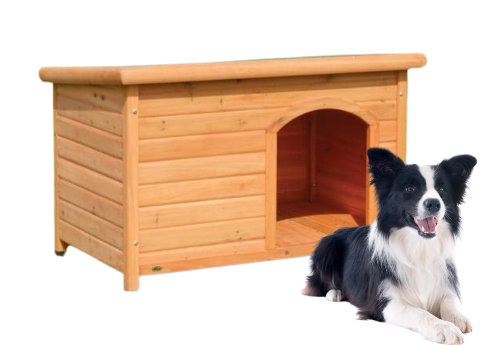 cuccia da esterno per border collie