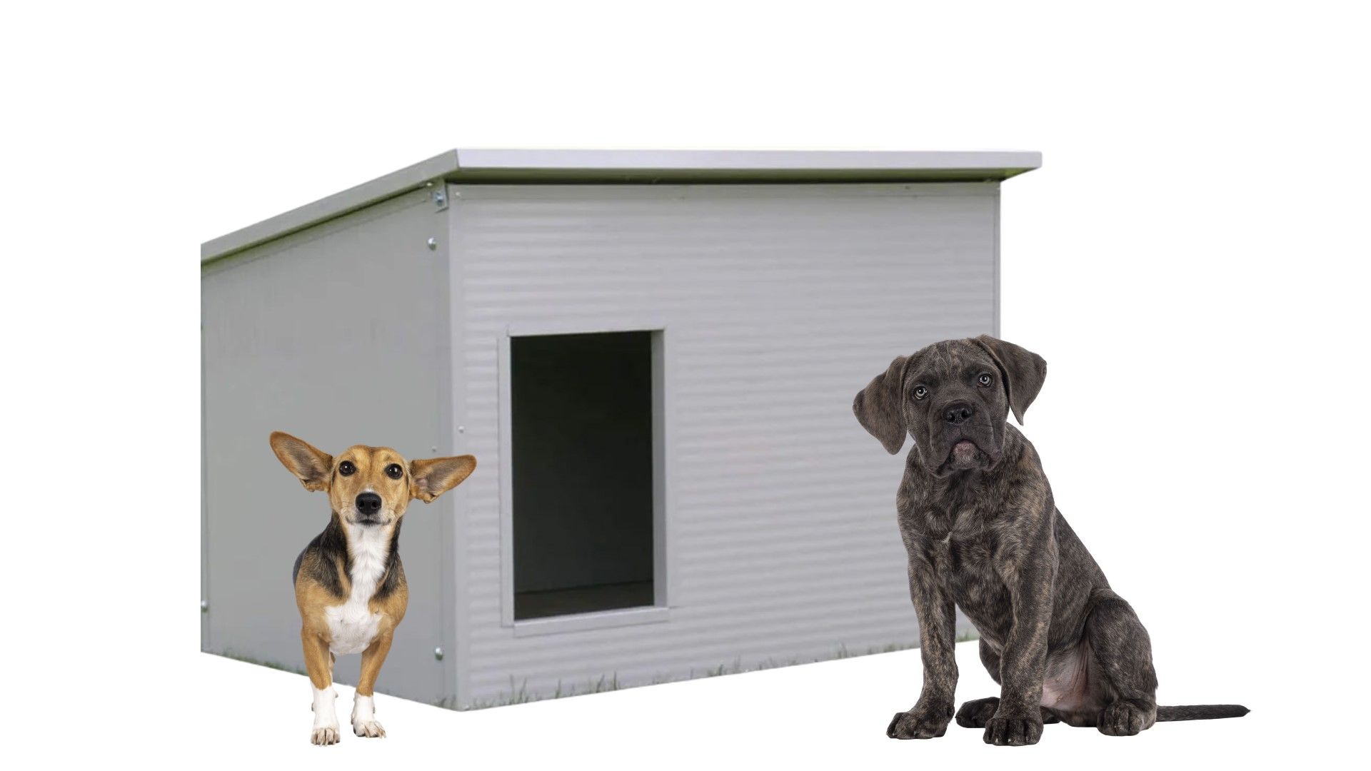 Ferranti propone cucce per cani di tutte le taglie