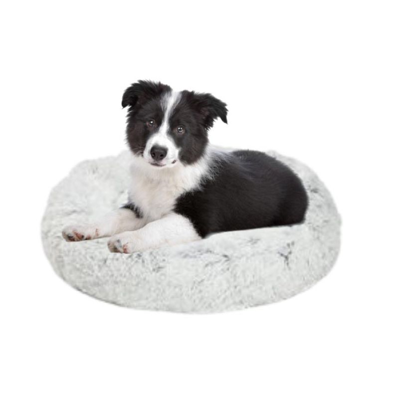 cuccia interno border collie