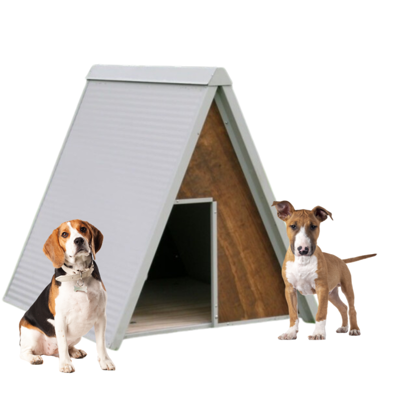 Ferranti vende cucce per due cani