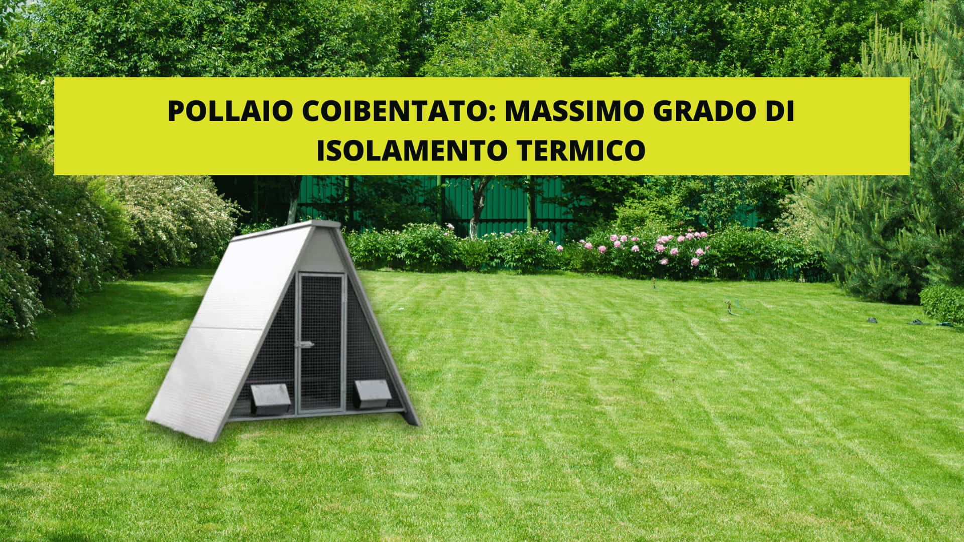 Vendita pollai coibentati marchio Ferranti