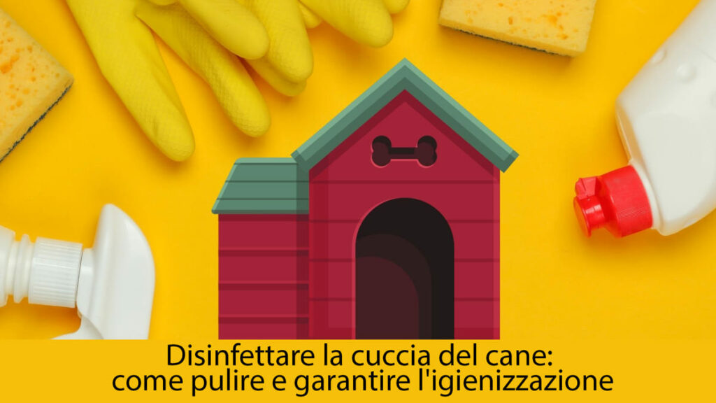 Disinfettare la cuccia del cane: come pulire e garantire l'igienizzazione