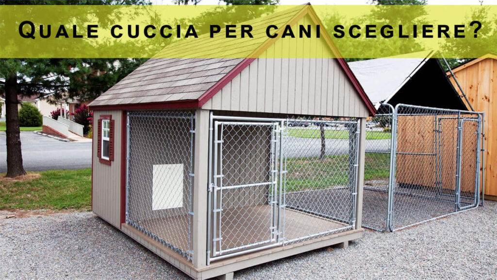 Quale cuccia per cani scegliere: guida con consigli, prezzi e migliori offerte