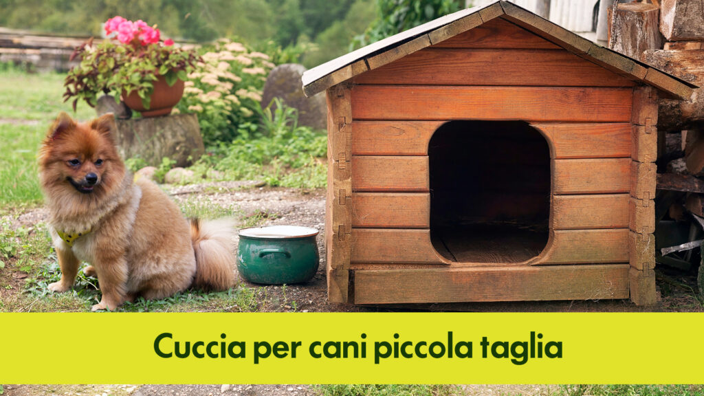 Scopri tutto quello che devi sapere sulle cucce per cani di piccola taglia, la miglior guida online