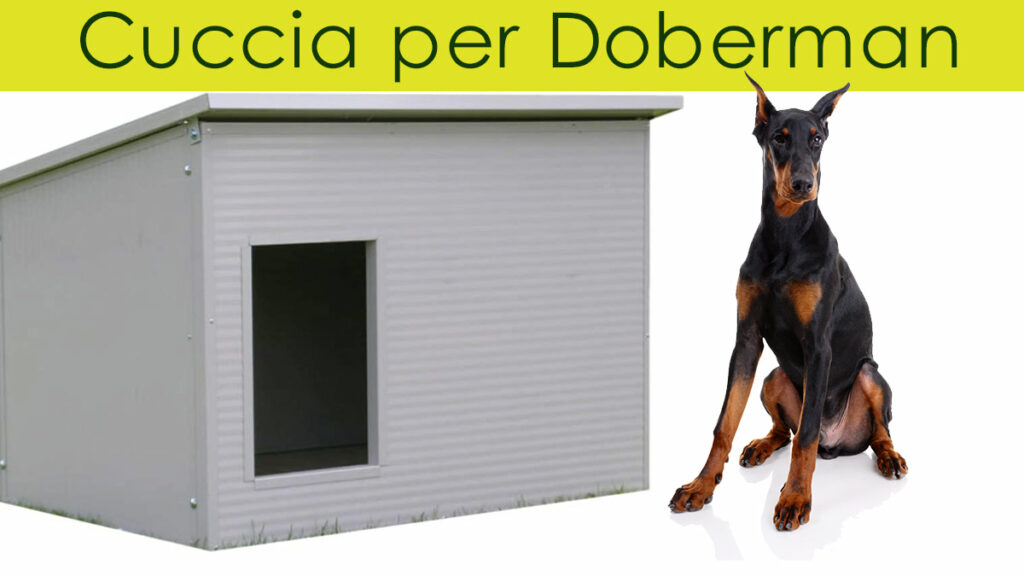 Scopri la guida dedicata alle Cucce per Dobermann