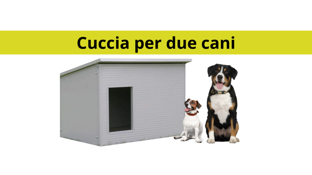 Cuccia per due cani